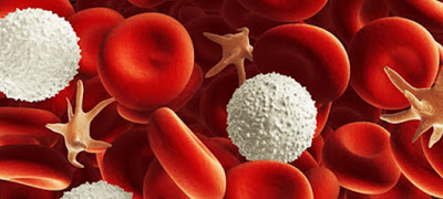 Τα αυξημένα επίπεδα αιμοπεταλίων δείχνουν αυξημένο κίνδυνο για καρκίνο