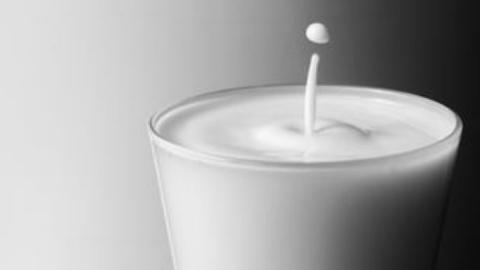 «Λευκός χρυσός» για την υγεία του ανθρώπου το γάλα