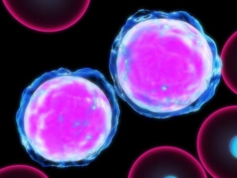 Οι ιοί «σύμμαχοι» των επιστημόνων στη μάχη με τον καρκίνο