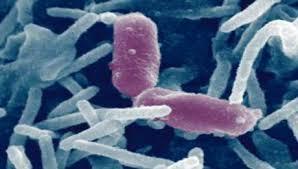 Τρόποι	μετάδοσης	των	παθογόνων μικροβίων