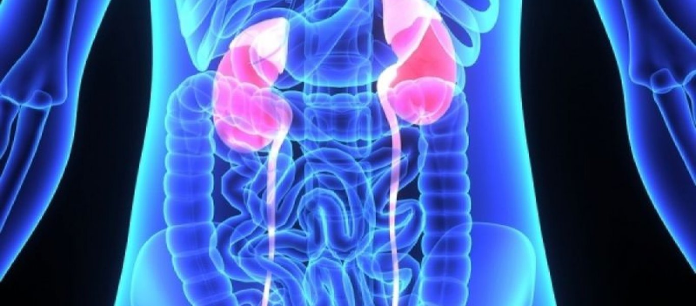 Πέτρες στα νεφρά (νεφρολιθίαση) : όλα τα μυστικά