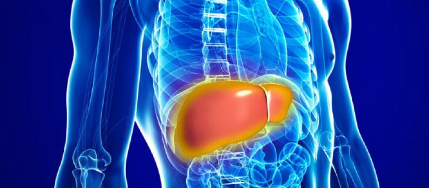 Ήπαρ: Ποιοι παράγοντες το επιβαρύνουν και ποιες συνήθειες το ωφελούν