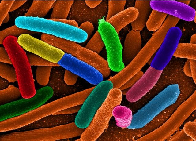 Ανθεκτικά στα αντιβιοτικά μικρόβια εξαπλώνονται στα νοσοκομεία της Ευρώπης