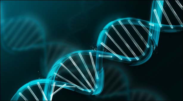 Tεστ DNA Tεστ DNA