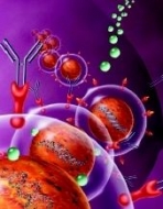 Χημειοθεραπεία