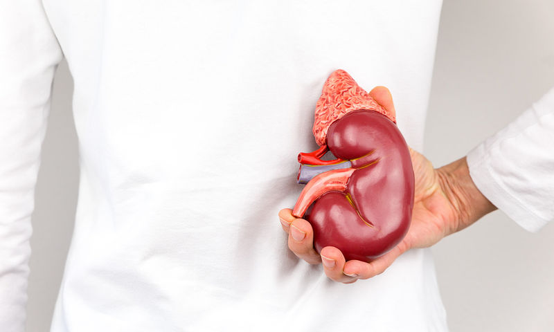 Πέτρες στα νεφρά: Ποιοι κινδυνεύουν περισσότερο