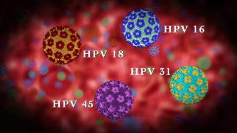 Κατευθυντήριες οδηγίες για την επιλογή της βέλτιστης μεθόδου τυποποίησης του ιού HPV 