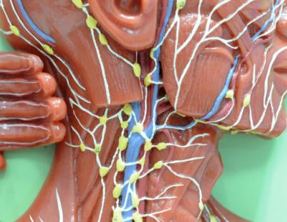 Διογκωμένοι λεμφαδένες