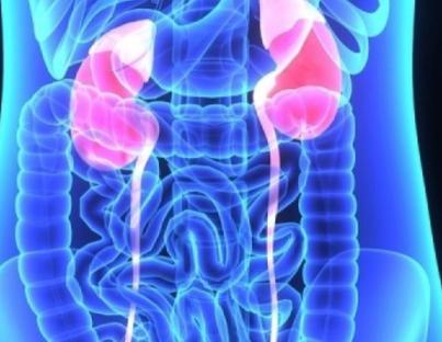 Πέτρες στα νεφρά (νεφρολιθίαση) : όλα τα μυστικά