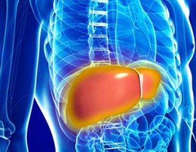 Ήπαρ: Ποιοι παράγοντες το επιβαρύνουν και ποιες συνήθειες το ωφελούν