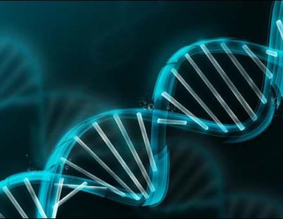 Tεστ DNA