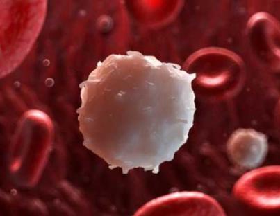 Καρκίνος του αίματος: Οι τρεις βασικοί τύποι και τα συμπτώματα