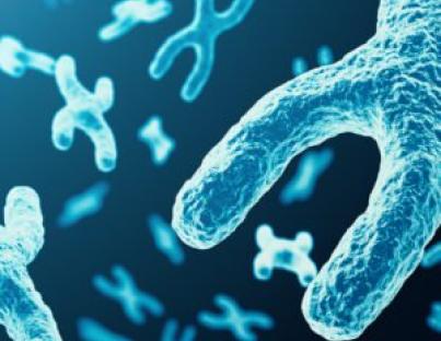 Τεστ Μητρικής Γενεαλογικής Καταγωγής