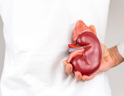 Πέτρες στα νεφρά: Ποιοι κινδυνεύουν περισσότερο